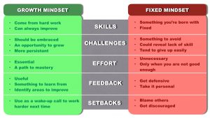 The mindset theory deals with how people react in different situation. To mindsets exist, the fixed mindset and the growth mindset.