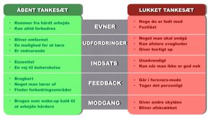 Tankesæt teorien