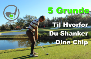 5 Grunde Til Hvorfor Du Shanker Dine Chip